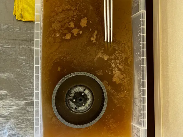 【12月出店】安心の損害保険加入済み◉若さでフットワーク軽く★大手経験あり♪サービスの画像