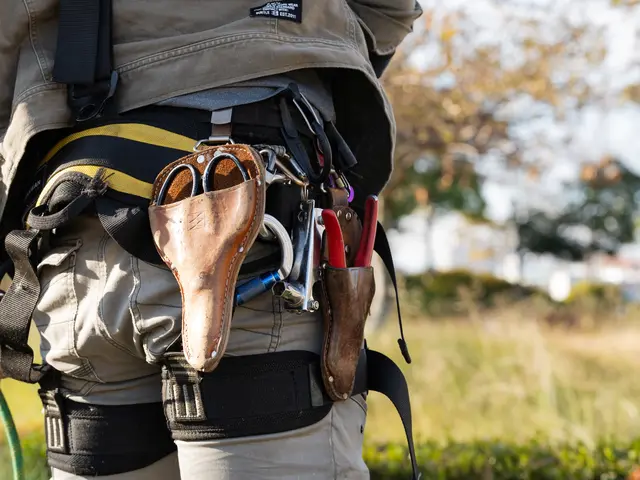 伐採、抜根は勇樹ガーデンへお庭や空き家を綺麗にします！サービスの画像