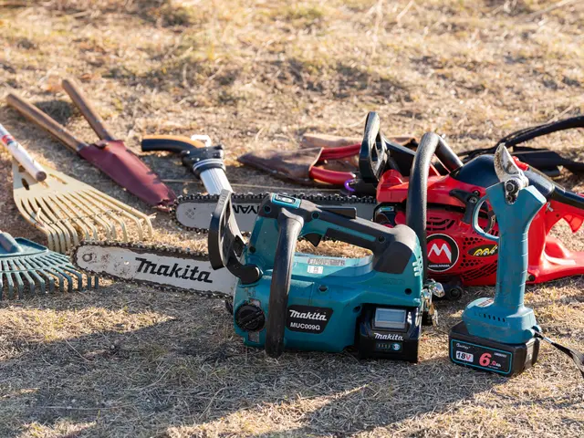 伐採、抜根は勇樹ガーデンへお庭や空き家を綺麗にします！サービスの画像