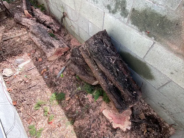 伐採、抜根は勇樹ガーデンへお庭や空き家を綺麗にします！サービスの画像