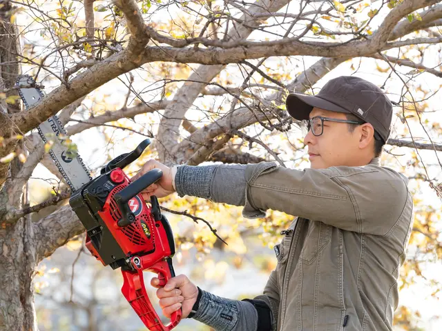 伐採、抜根は勇樹ガーデンへお庭や空き家を綺麗にします！サービスの画像