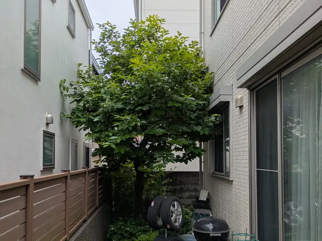 『お客様の理想を叶える！丁寧な作業と徹底清掃で圧倒的お客様満足度！』サービスの画像