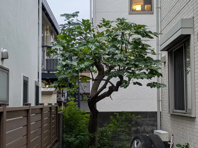 『お客様の理想を叶える！丁寧な作業と徹底清掃で圧倒的お客様満足度！』サービスの画像