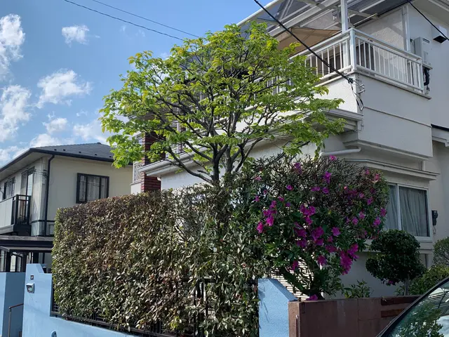 お庭のことならお任せ下さい！若い力と豊富な経験で心を込めて作業致します！サービスの画像