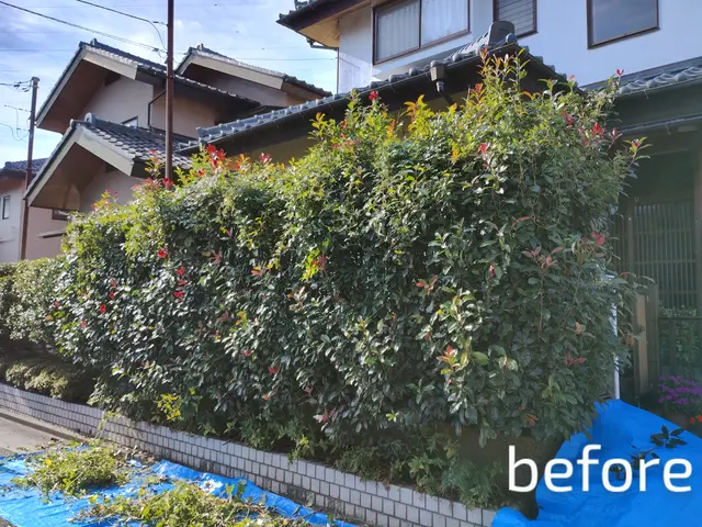 植え込み・生垣の剪定サービスの画像