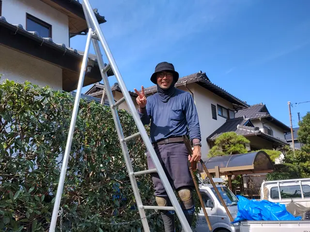 植え込み・生垣の剪定サービスの画像