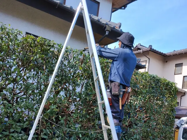 植え込み・生垣の剪定サービスの画像