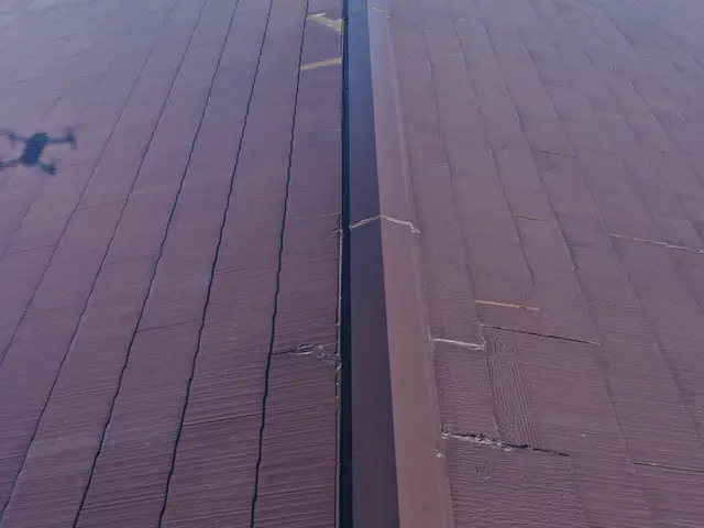 ドローン空撮　調査