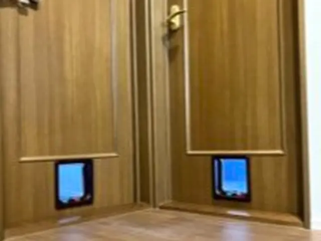 キャットドア・ペットドアの取り付け　安心の法人対応☆サービスの画像