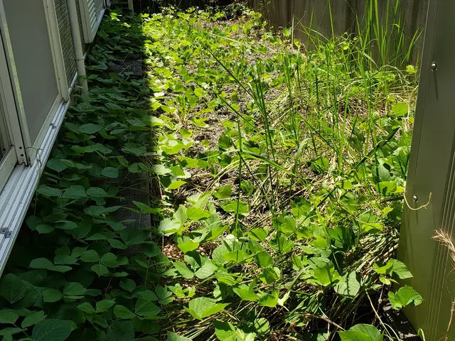 草刈り全般やります。親切、丁寧、安心をモットーに作業致します。サービスの画像