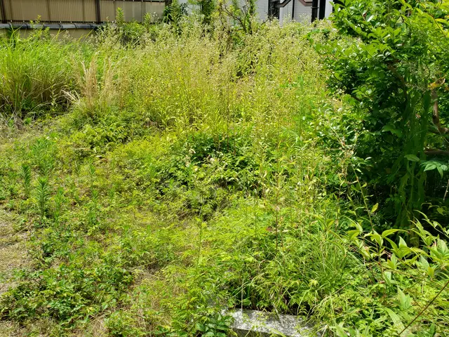 草刈り全般やります。親切、丁寧、安心をモットーに作業致します。サービスの画像