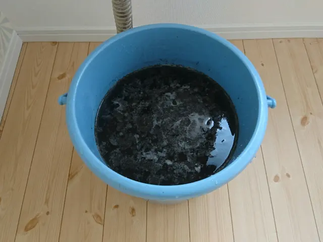 ⇐私がお伺いします ✧お子様やペットに優しい洗剤でキレイに致します✧サービスの画像