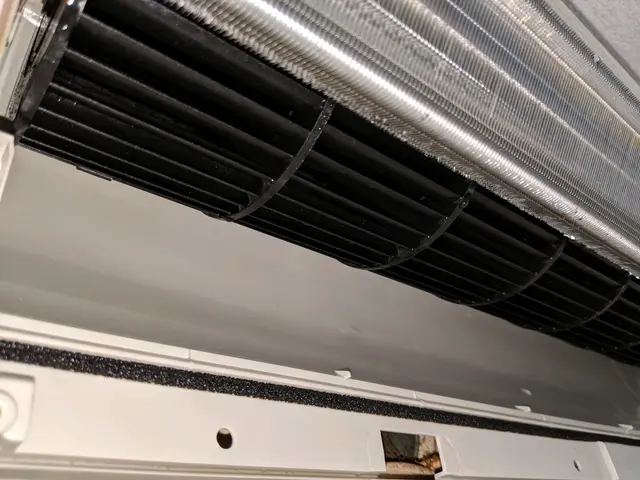 ⇐私がお伺いします ✧お子様やペットに優しい洗剤でキレイに致します✧サービスの画像