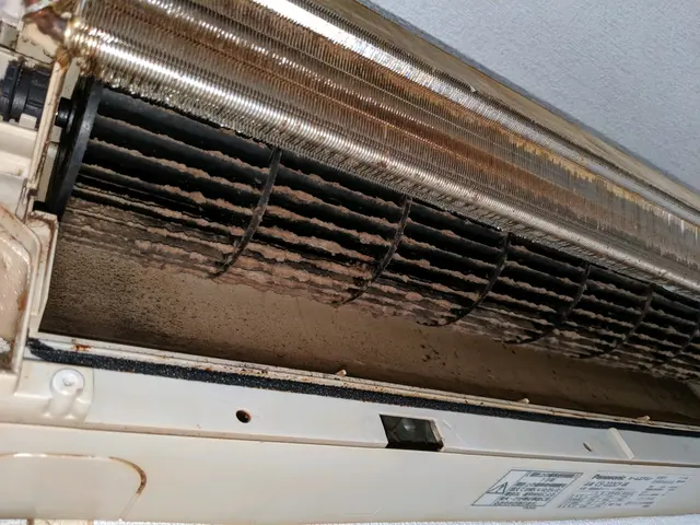 ⇐私がお伺いします ✧お子様やペットに優しい洗剤でキレイに致します✧サービスの画像