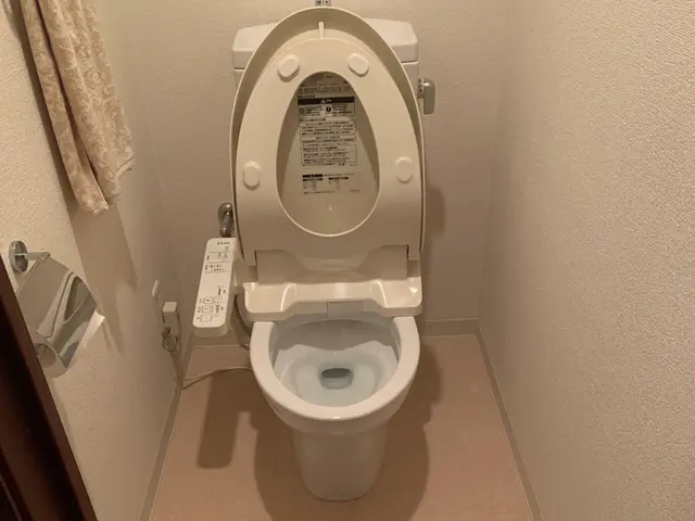 【限定SALE中】家庭用トイレクリーニング！サービスの画像