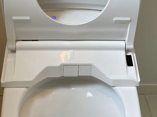 【限定SALE中】家庭用トイレクリーニング！サービスの画像