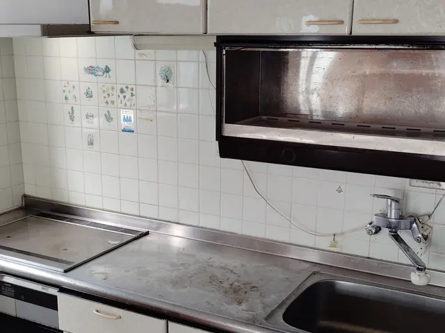 【徹底洗浄】水回り２点セット（キッチン、レンジフード）サービスの画像