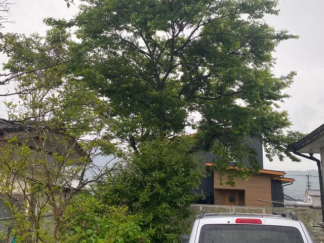 ◆業歴10年の経験と実績◆年中無休◆細かなご希望もお伝え下さい！サービスの画像