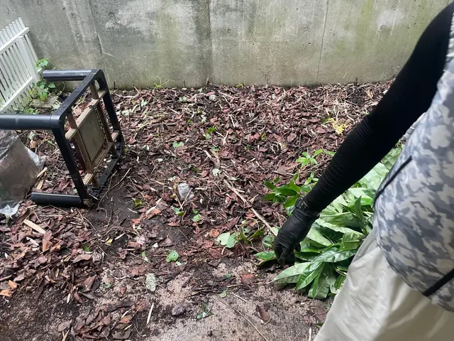 草むしり　除草作業サービスの画像