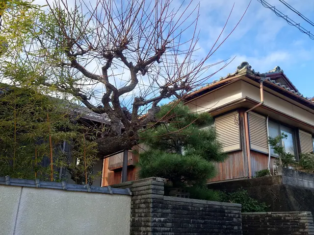 10年の豊富な経験と長年のリピーター様に支えられた信頼の技術で剪定しますサービスの画像