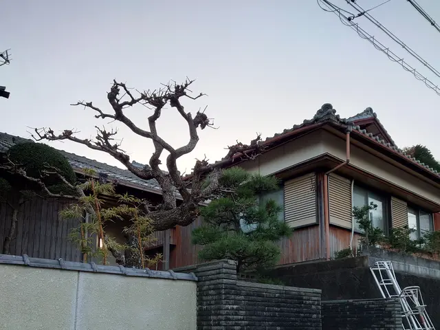 10年の豊富な経験と長年のリピーター様に支えられた信頼の技術で剪定しますサービスの画像