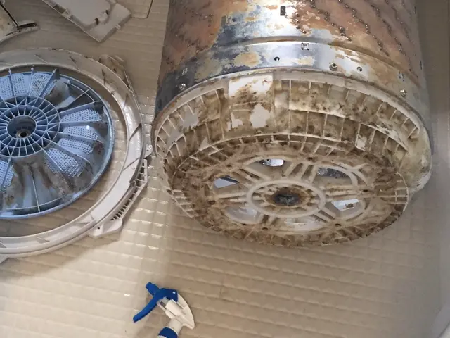 縦型洗濯機クリーニングサービスの画像