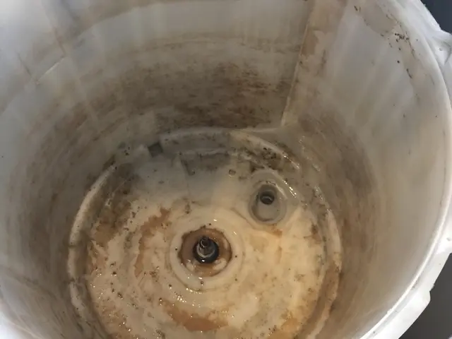 縦型洗濯機クリーニングサービスの画像