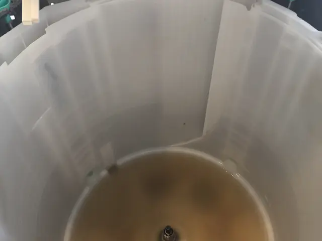 縦型洗濯機クリーニングサービスの画像