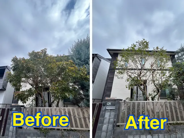 【作業実績200件以上】主婦、高齢者も安心！安心価格の剪定サービスサービスの画像