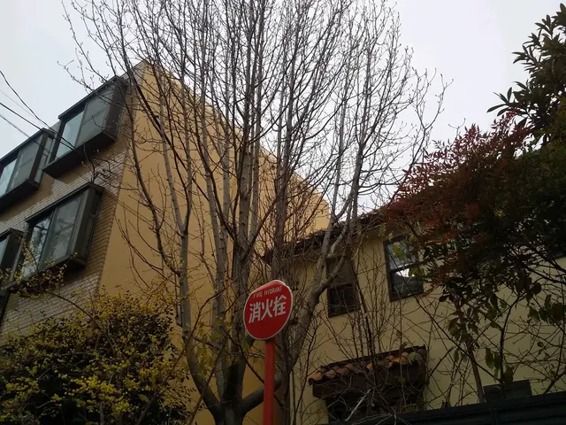 庭木の剪定、剪定ゴミ回収など。一級造園技能士、農薬管理指導士取得☆[業歴15年]サービスの画像