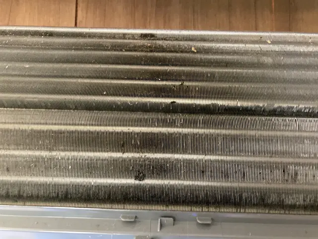 【即日対応】安心安全のサービス価格！店長自身が訪問◎お掃除はお任せください！サービスの画像