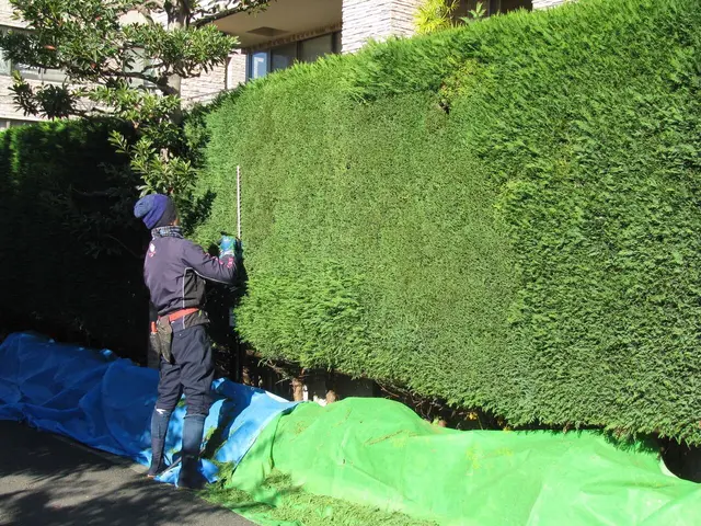 【損害保険加入済み◎】サービスの画像