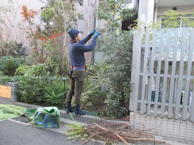 【損害保険加入済み◎】サービスの画像