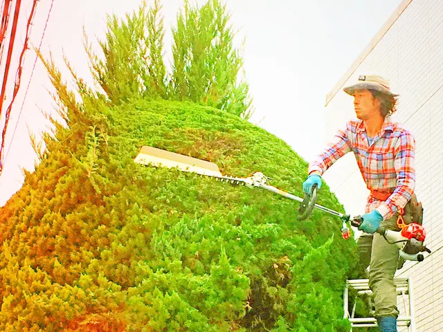 【損害保険加入済み◎】サービスの画像