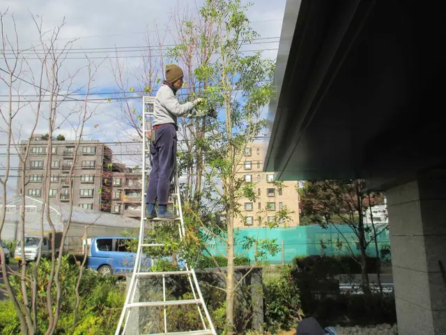 【損害保険加入済み◎】サービスの画像