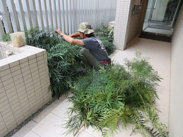 【損害保険加入済み◎】サービスの画像