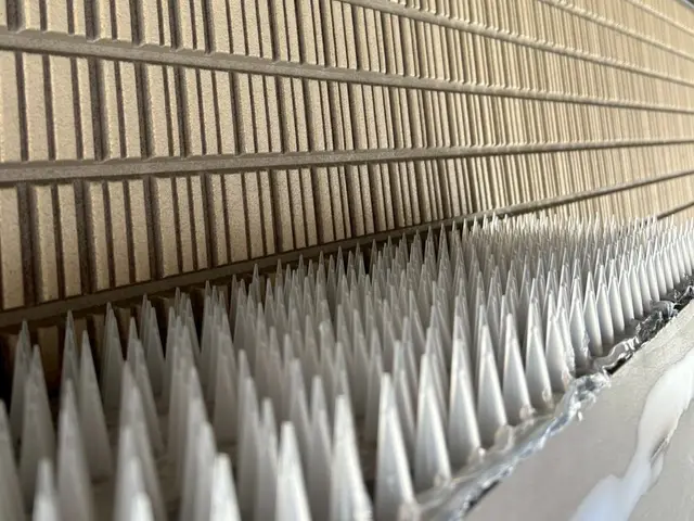 【鳩駆除の匠】駆除後も安心のサポートあり◎職人がお伺いします。サービスの画像