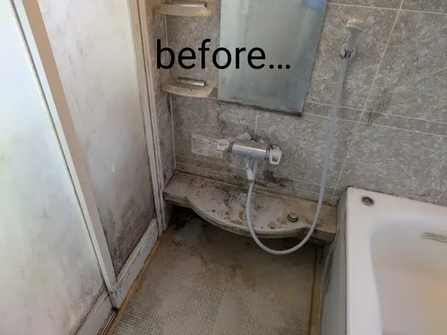 女性スタッフの清掃。大手清掃会社･ヘルパー経験から、お客様に寄り添い作業しますサービスの画像