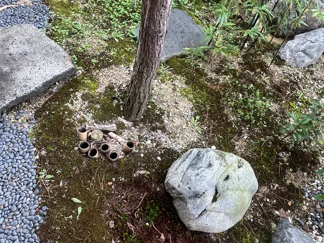 15年以上の実績！女性スタッフ同行で安心の庭木お手入れサービスの画像