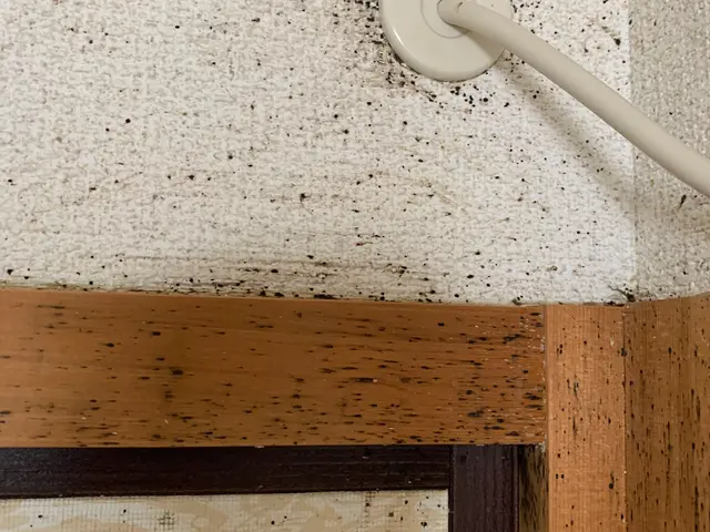 【大阪府知事登録業者】 ★安心の1年保証★現在駆除率100％●完全自社施工店●サービスの画像