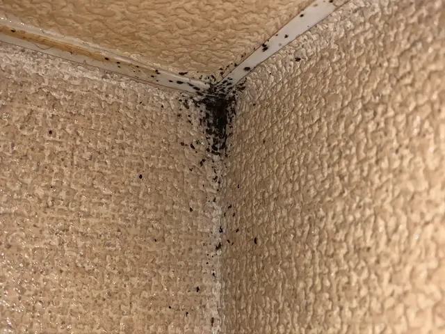 【大阪府知事登録業者】 ★安心の1年保証★現在駆除率100％●完全自社施工店●サービスの画像