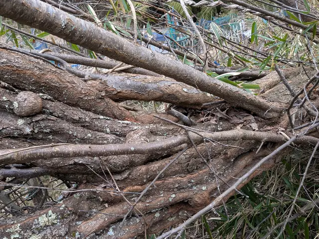 【舞鶴発】★新規出店★業歴25年以上の2級造園施工管理技士が対応致します！サービスの画像