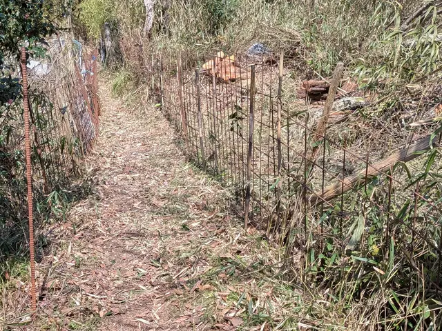 【舞鶴発】★新規出店★業歴25年以上の2級造園施工管理技士が対応致します！サービスの画像