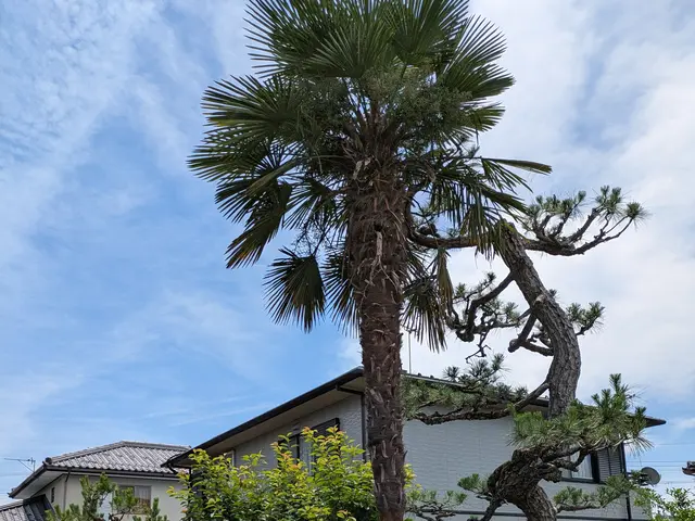 【舞鶴発】★新規出店★業歴25年以上の2級造園施工管理技士が対応致します！サービスの画像