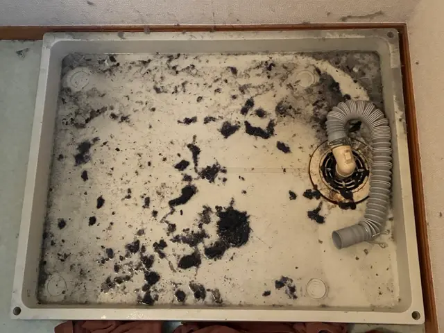 乾燥に時間がかかる。排水できないなどのトラブル修理サービスの画像