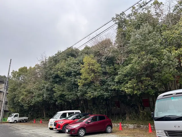 【新規出店】庭木の伐採・撤去　一本からでも対応致します！サービスの画像