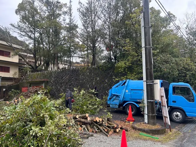 【新規出店】庭木の伐採・撤去　一本からでも対応致します！サービスの画像