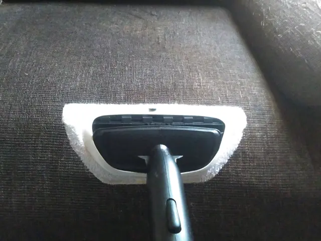 ソファーリフレッシュ！バキューム洗浄！ノミ、ダニも除去！！サービスの画像