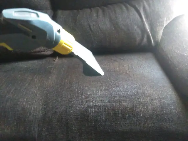 ソファーリフレッシュ！バキューム洗浄！ノミ、ダニも除去！！サービスの画像