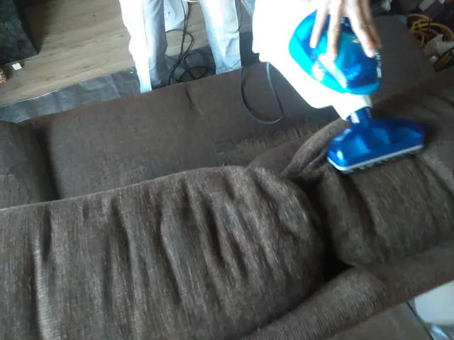 ソファーリフレッシュ！バキューム洗浄！ノミ、ダニも除去！！サービスの画像